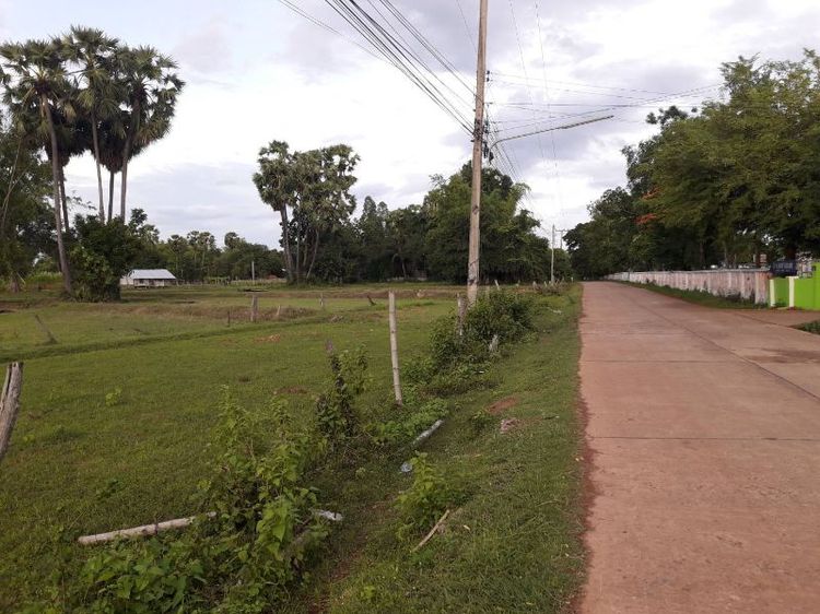 ขายที่ดิน 2 ไร่ ติดถนน อ.เมือง จ.อุดรธานี
