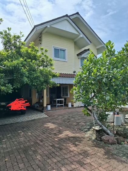 ให้เช่าบ้านพร้อมที่ดิน220ตรว. รูปที่ 2