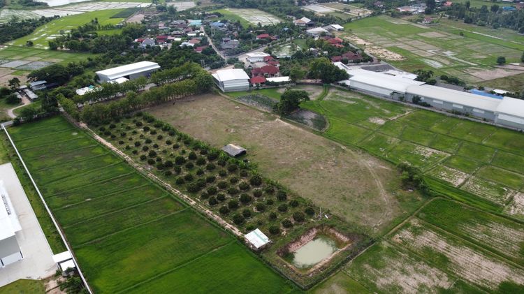 ขายที่ดิน ทำเลทอง พร้อม สวนลำไย รูปที่ 2