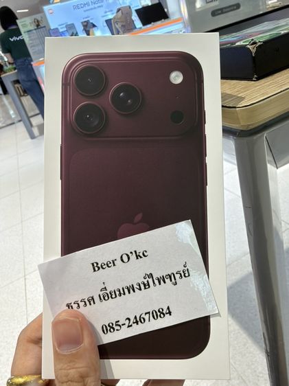 18 pro 256