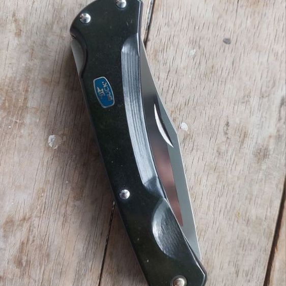 Buck 110