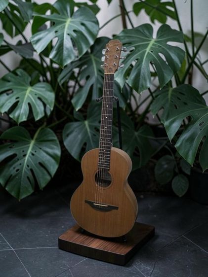 ed sheeran by lowden w-01
