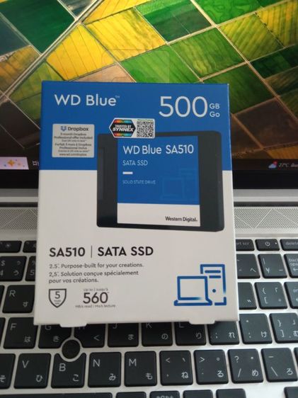 ที่เก็บข้อมูลและเมมโมรี่การ์ด WD Blue SA510 SSD 2.5 SATA 500.GB มีประกันถึง 21 มิถุนายน 2572