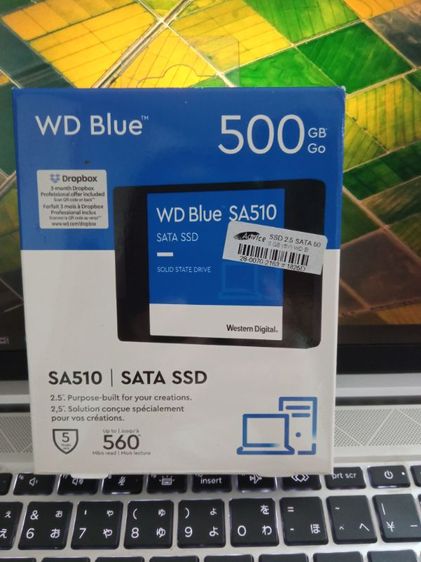 ที่เก็บข้อมูลและเมมโมรี่การ์ด WD Blue SA510 SSD 2.5 SATA 500.GB มีประกันถึง 23 ตุลาคม 2570