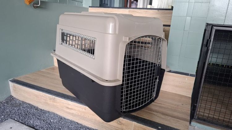 กระเป๋า & อุปกรณ์เดินทาง ขาย Petmate Vari Kennel 32 นิ้ว มือสอง กรงสุนัขแข็งแรง สภาพดีตามรูป
