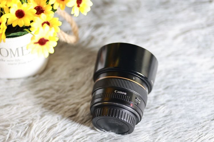 Canon EF 50mm f/1.4 USM รูปที่ 4