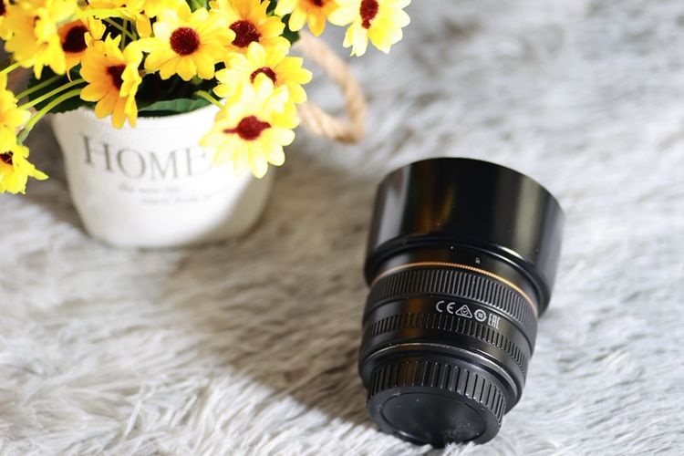 Canon EF 50mm f/1.4 USM รูปที่ 5
