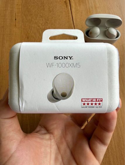 Sony WF-1000XM5