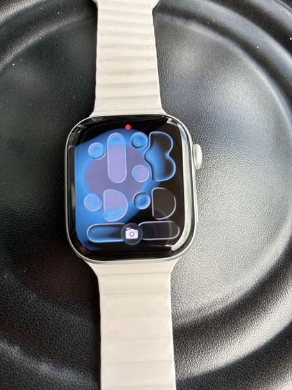 สแตนเลส เงิน Apple Watch series 11