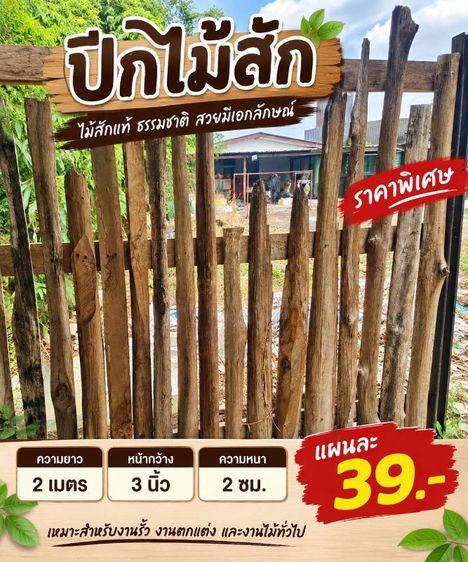 ไม้สัก