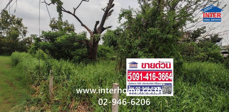 ที่ดินเปล่า 100 ตร.ว. ที่ดิน ซอยร่วมสุข4-5 ถนนติวานนท์ ถนนเลียบคลองประปา เมืองปทุมธานี ปทุมธานี