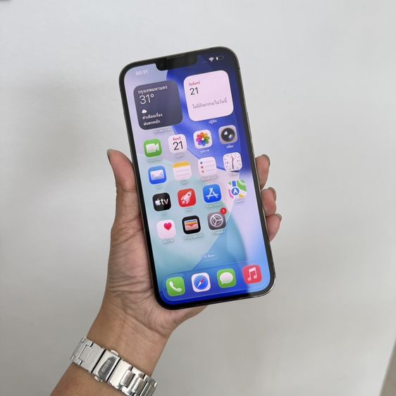 256 GB iphone 13 pro max 256g