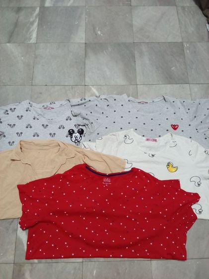ส่งต่อเสื้อสาวอวบ (ให้ทั้งหมด5ตัว อก46ถึง50)