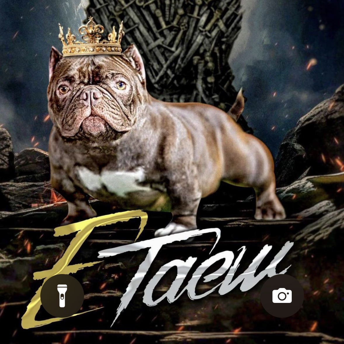 banner